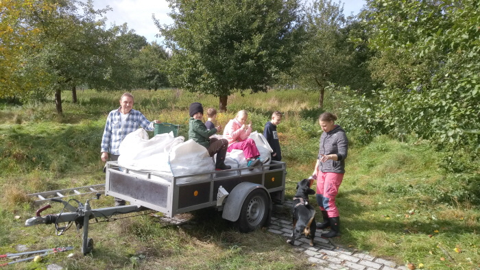 Äpfelpflücken in Wasenberg im Oktober 2021. Foto: Mario Bechtel Äpfelpflücken in Wasenberg im Oktober 2021. Foto: Mario Bechtel